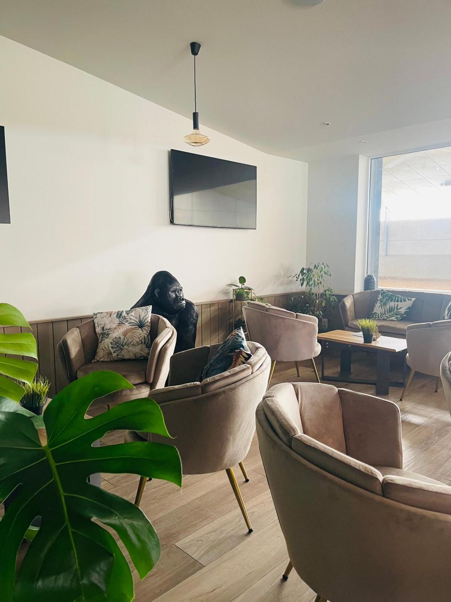 Equus B&B Bredene Ngoại thất bức ảnh