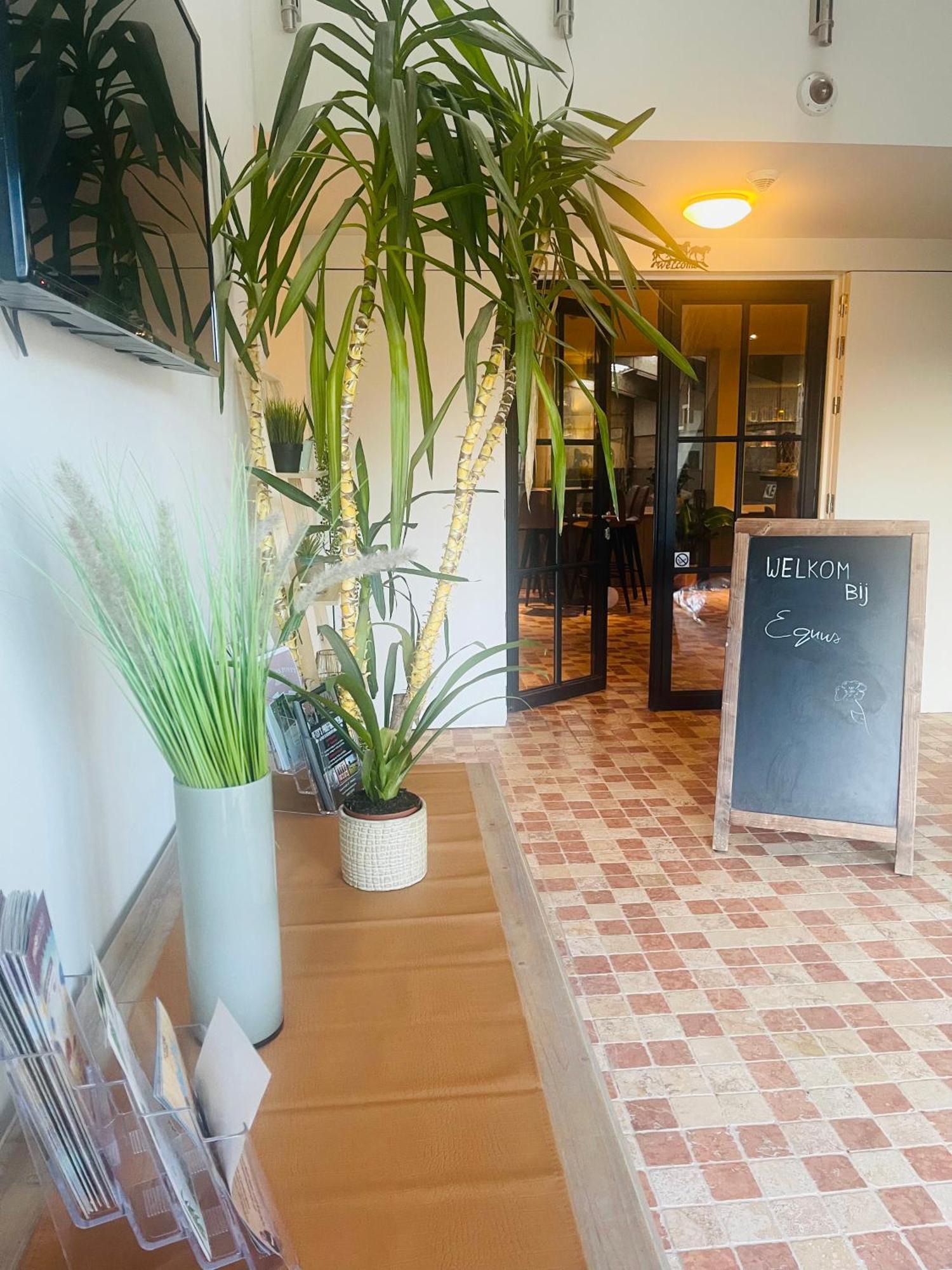 Equus B&B Bredene Ngoại thất bức ảnh